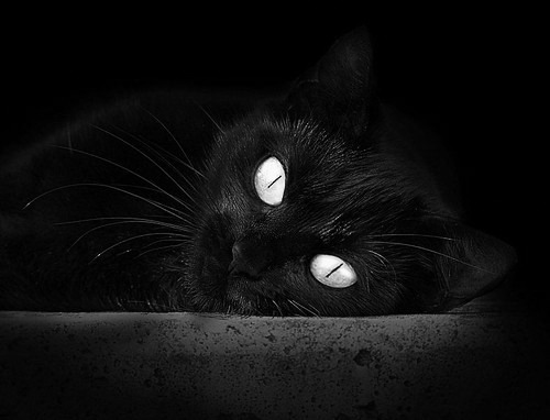 指南针与终结者，当凯恩的攻防艺术遇见皇马的比利时方程式