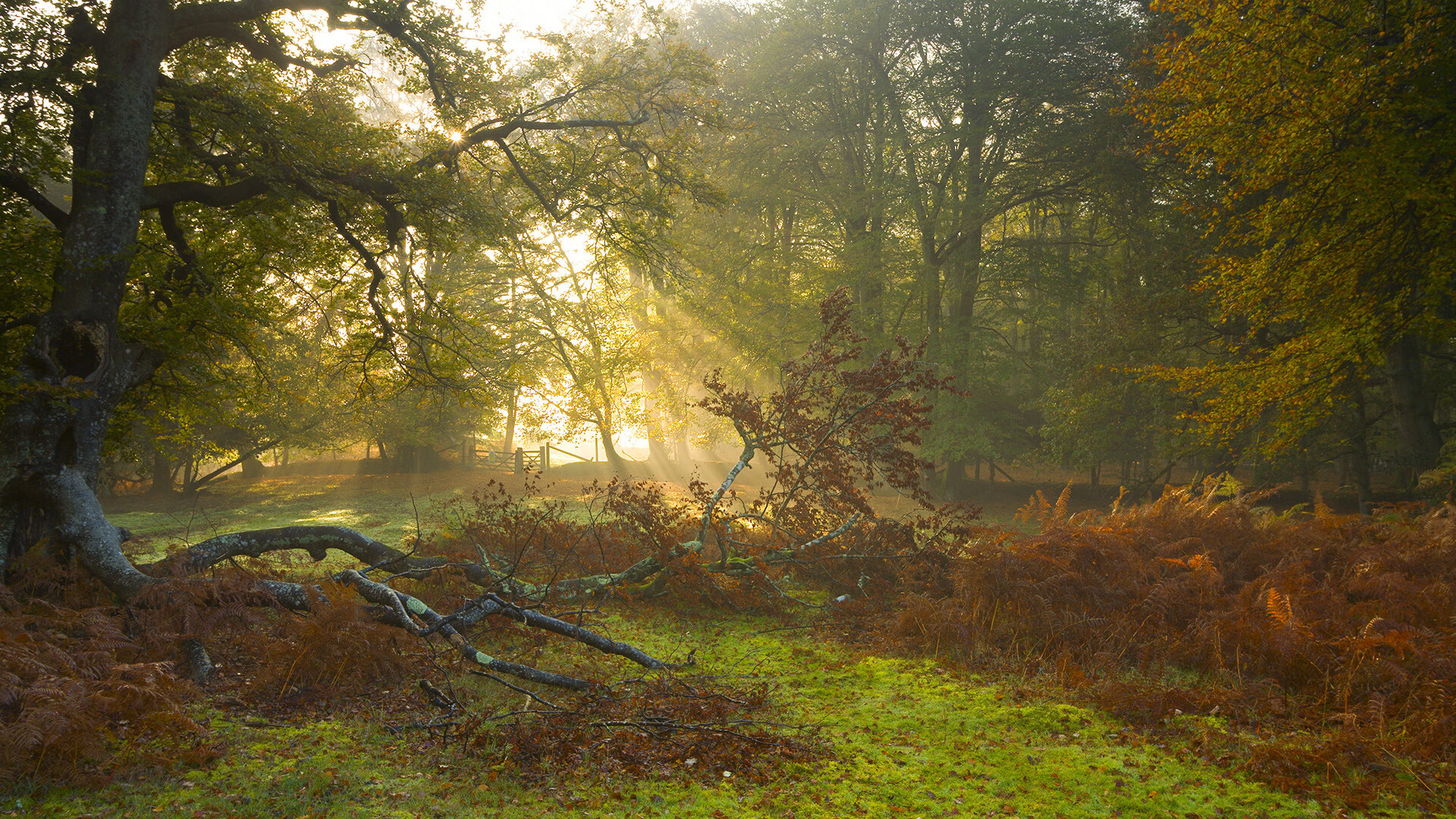 华体会体育-2026世界杯之夜，39岁的莫德里奇，为何仍是决定硬仗的王？