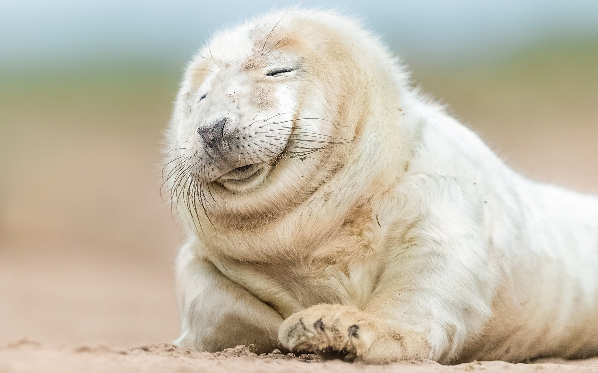 华体会hth-满分试卷，欧冠淘汰赛之夜，卢卡库与命运的最后博弈